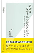 若者はなぜ3年で辞めるのか? 年功序列が奪う日本の未来 (光文社新書)