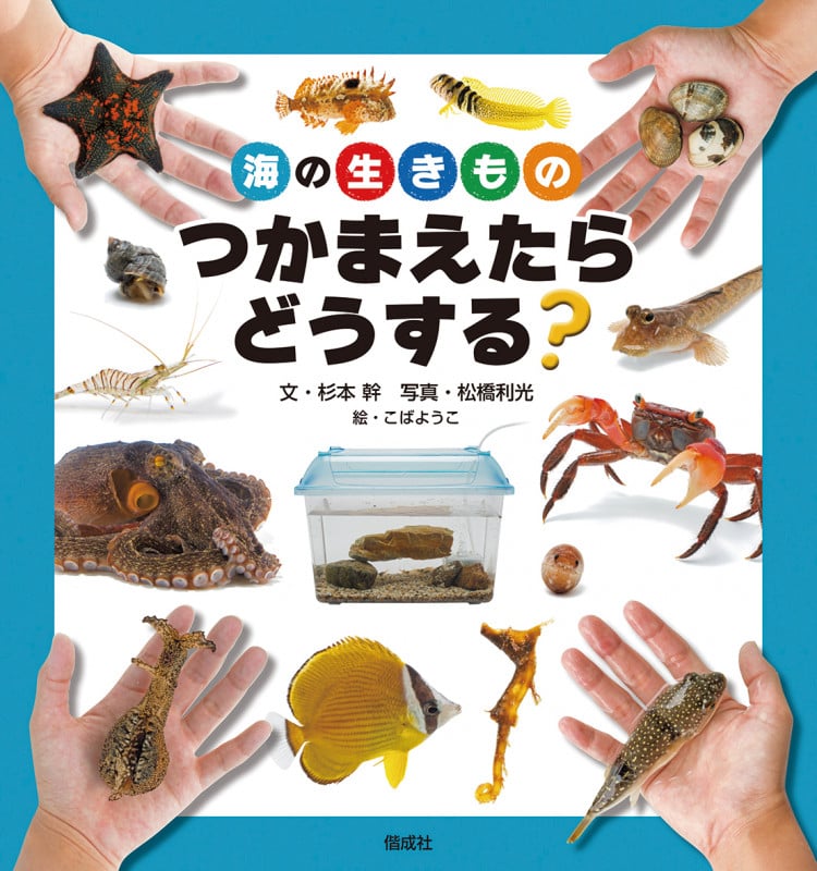 海の生きものつかまえたらどうする?