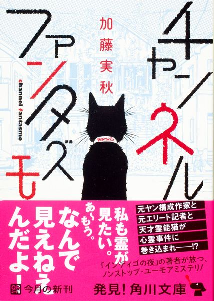 チャンネルファンタズモ (角川文庫)の詳細を見る