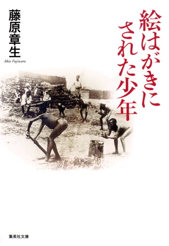 絵はがきにされた少年 (集英社文庫)