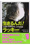 生きるんだ!ラッキー 山火事で生きのこったコアラの物語 (動物感動ノンフィクション)