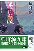 湯宿の賊 はぐれ長屋の用心棒 (双葉文庫)