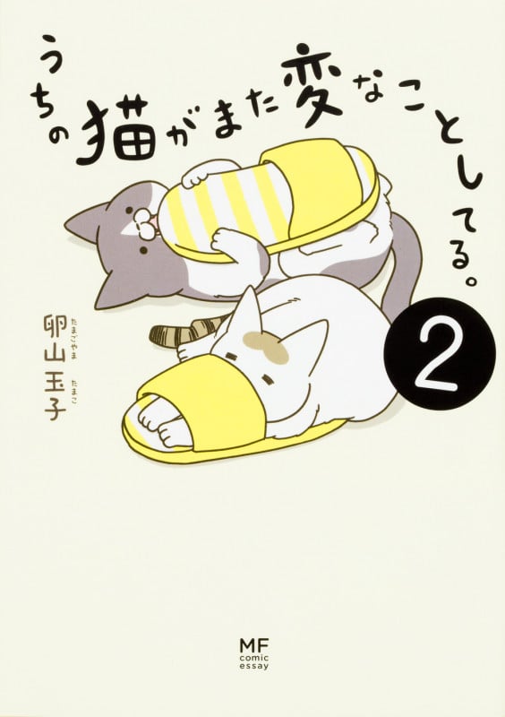 うちの猫がまた変なことしてる。2
