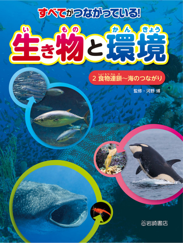 食物連鎖~海のつながり (すべてがつながっている! 生き物と環境)