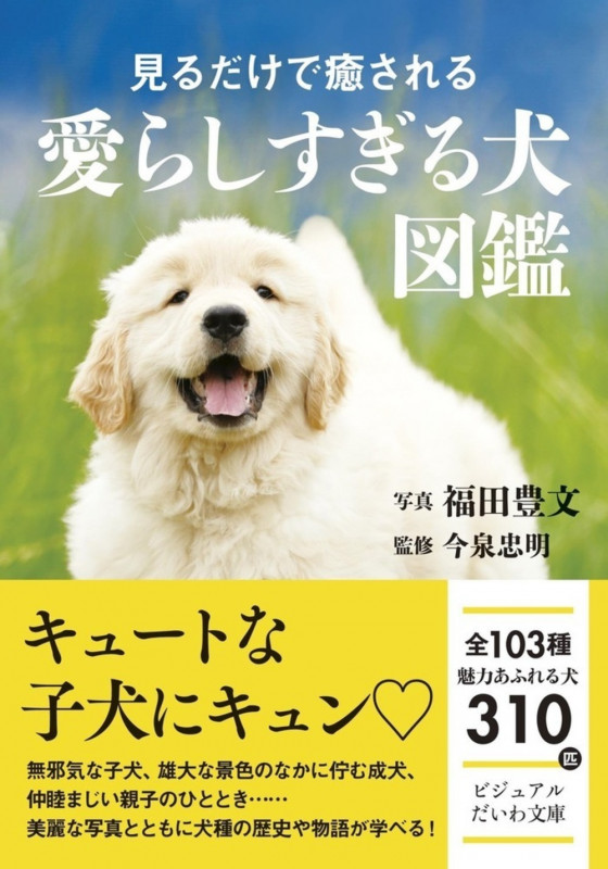 見るだけで癒される愛らしすぎる犬図鑑 (ビジュアルだいわ文庫)