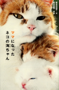 ママになったネコの海ちゃん (私の生き方文庫)