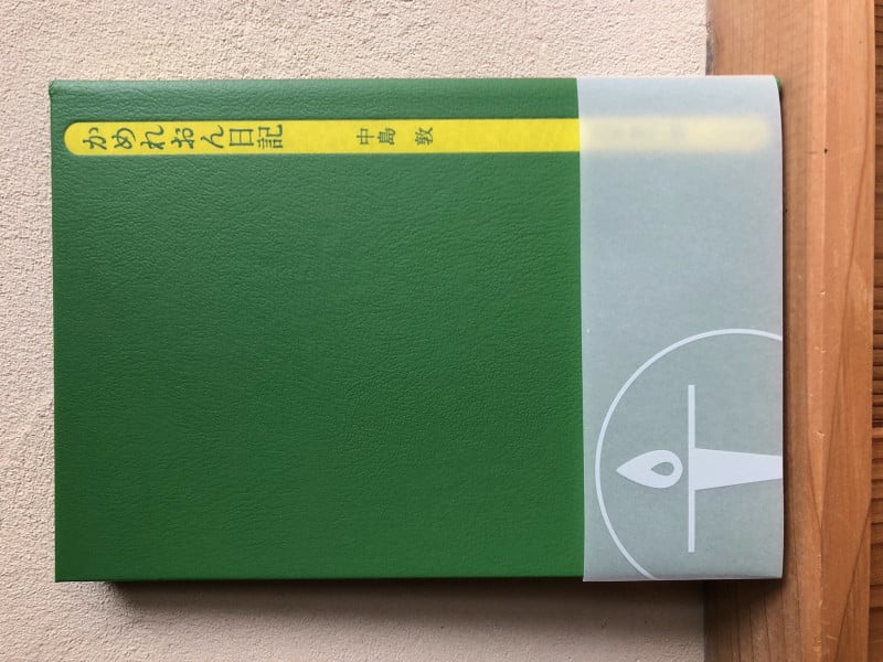 かめれおん日記 (灯光舎 本のともしび)