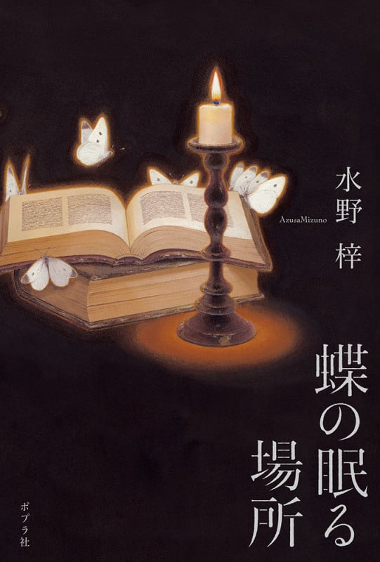 蝶の眠る場所 (一般書 340)