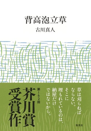 背高泡立草
