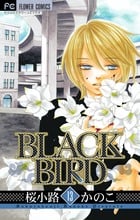 BLACK BIRD (13) (フラワーCベツコミ)