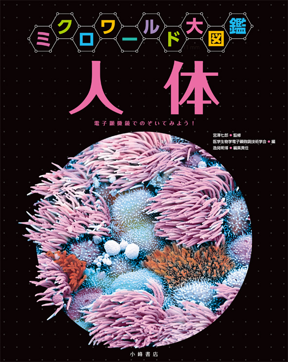 人体(ミクロワールド大図鑑) (ミクロワールド大図鑑)の詳細を見る