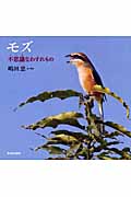 モズ 不思議なわすれもの (日本の野鳥)