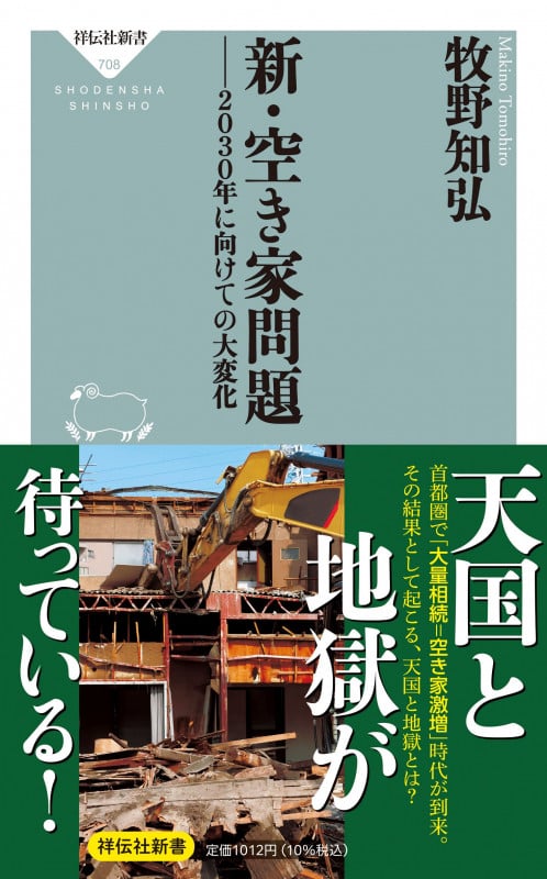 新・空き家問題 ――2030年に向けての大変化 (祥伝社新書 708)