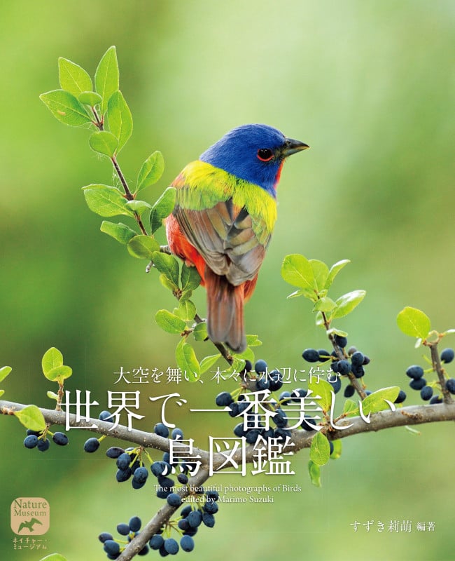 世界で一番美しい鳥図鑑 大空を舞い、木々に水辺に佇む (ネイチャー・ミュージアム)