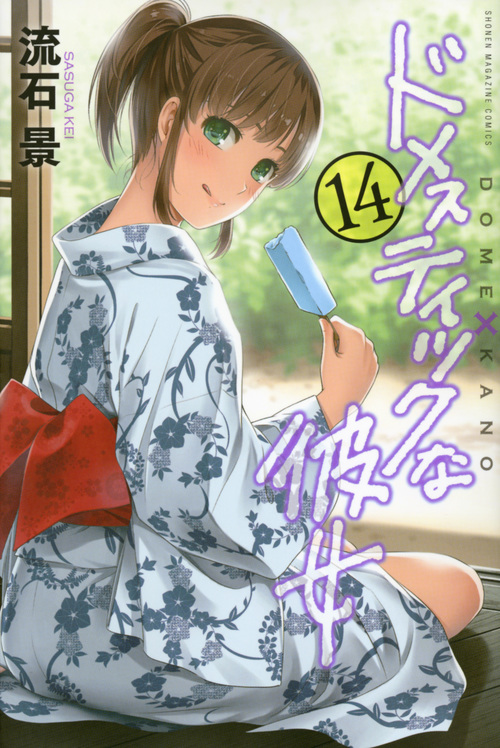 ドメスティックな彼女 (14) (マガジンKC)