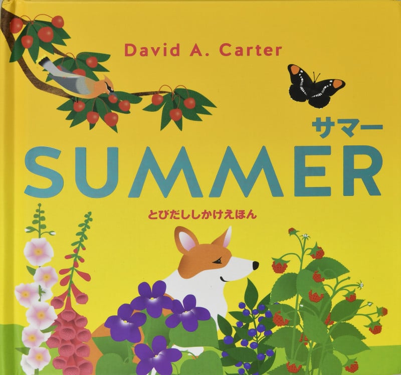 サマー (とびだししかけえほん)