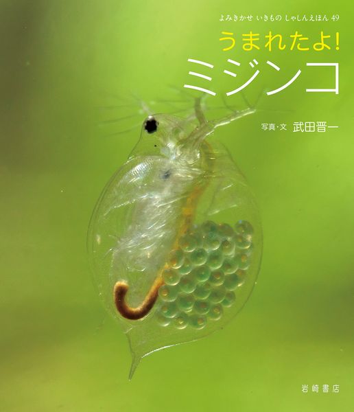 うまれたよ! ミジンコ (49) (よみきかせ いきものしゃしんえほん)