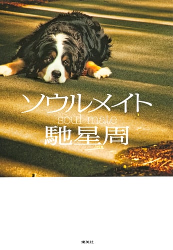 ソウルメイト