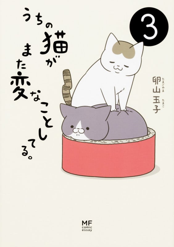 うちの猫がまた変なことしてる。3 (3)