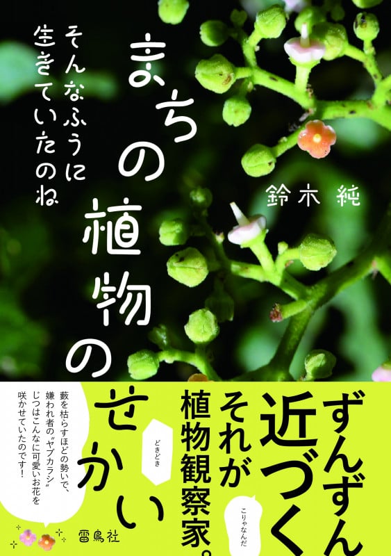 まちの植物のせかい そんなふうに生きていたのね