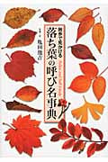 落ち葉の呼び名事典 散歩で見かける