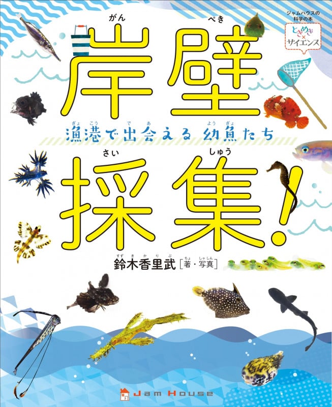 岸壁採集! 漁港で出会える幼魚たち (ときめき×サイエンス 4)