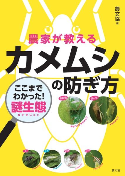 農家が教える カメムシの防ぎ方 ここまでわかった!謎生態