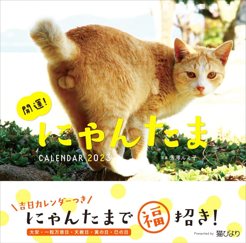 2023カレンダー 開運! にゃんたまカレンダー