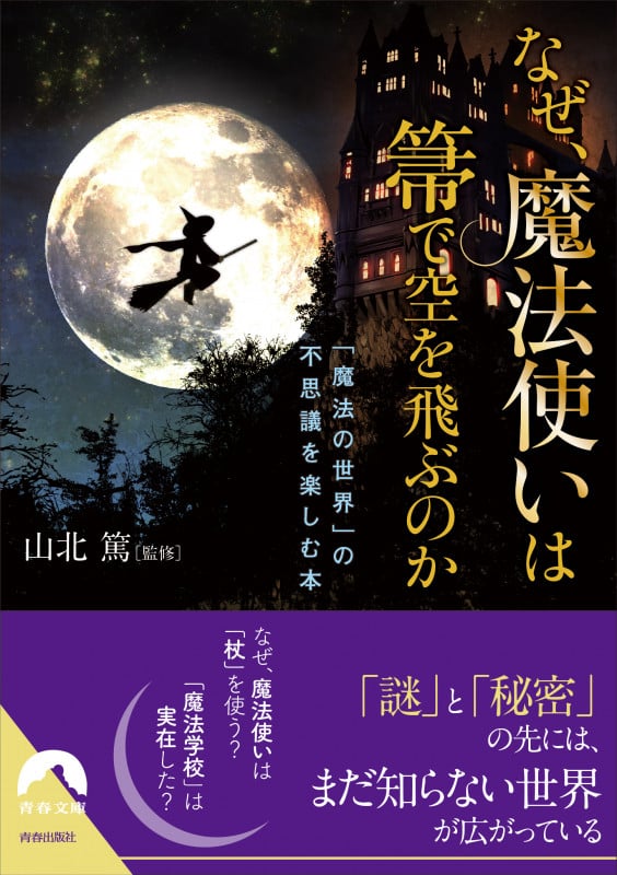なぜ、魔法使いは箒で空を飛ぶのか (青春文庫)
