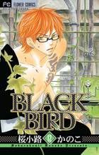 BLACK BIRD (12) (フラワーCベツコミ)