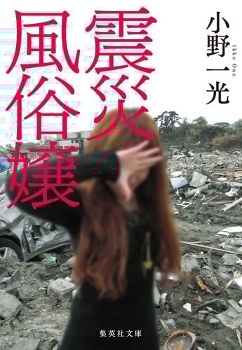 震災風俗嬢 (集英社文庫)
