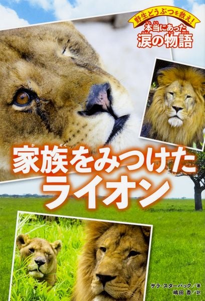 野生どうぶつを救え! 本当にあった涙の物語 家族をみつけたライオン
