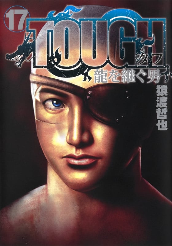 TOUGH 龍を継ぐ男 17 (ヤングジャンプコミックス)の詳細を見る