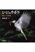 シジュウカラ 庭にくる小鳥 (日本の野鳥)