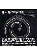 骨から見る生物の進化 Evolution
