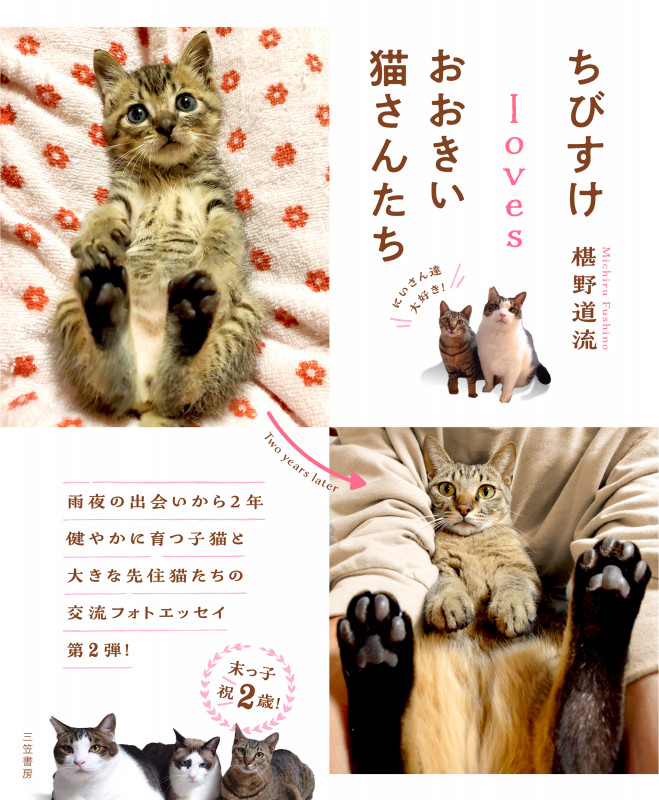ちびすけlovesおおきい猫さんたち (単行本)