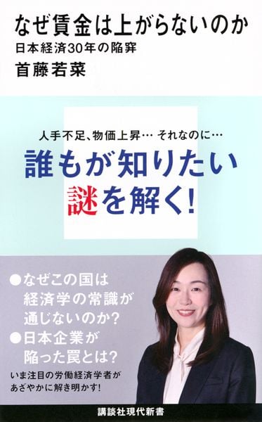 なぜ賃金は上がらないのか 日本経済30年の陥穽 (講談社現代新書)