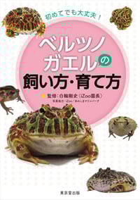 初めてでも大丈夫! ベルツノガエルの飼い方・育て方