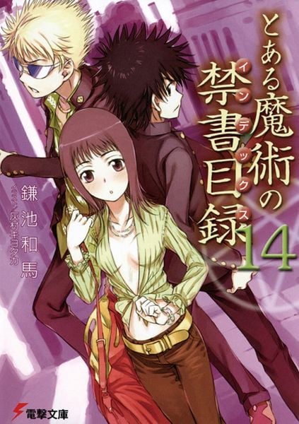 とある魔術の禁書目録(14) (電撃文庫)の詳細を見る