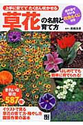 草花の名前と育て方 上手に育ててたくさん咲かせる