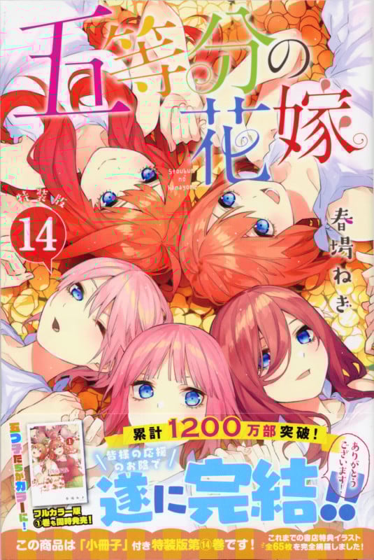 五等分の花嫁(14)特装版 (プレミアムKC)