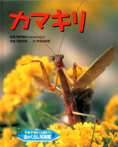 ドキドキいっぱい!虫のくらし写真館 カマキリ (8)