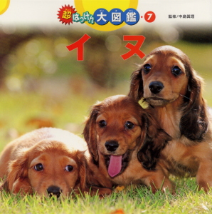 超はっけん大図鑑 (7)