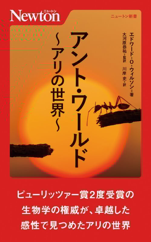 アント・ワールド 〜アリの世界〜 (ニュートン新書)