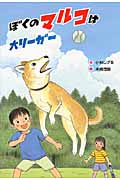 ぼくのマルコは大リーガー (文研ブックランド)