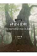日本遺産 神宿る巨樹 The marvelous trees in Japan
