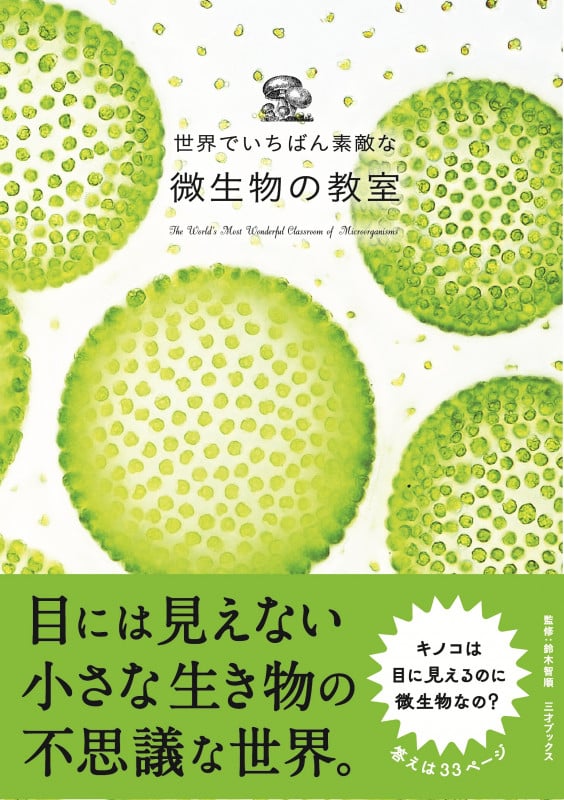 世界でいちばん素敵な微生物の教室