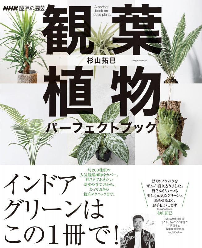 NHK趣味の園芸  観葉植物 パーフェクトブック (生活実用シリーズ)の詳細を見る