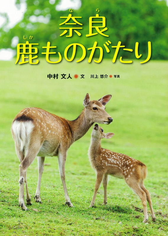 奈良 鹿ものがたり (はじめてのノンフィクションシリーズ)