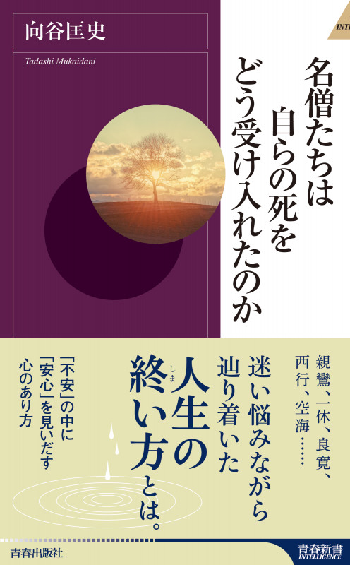 名僧たちは自らの死をどう受け入れたのか (青春新書INTELLIGENCE)の詳細を見る